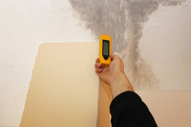 Best Air Quality Testing for Mold Spores  in Highlands, NJ